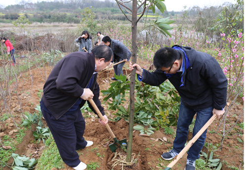 2015义务植树活动